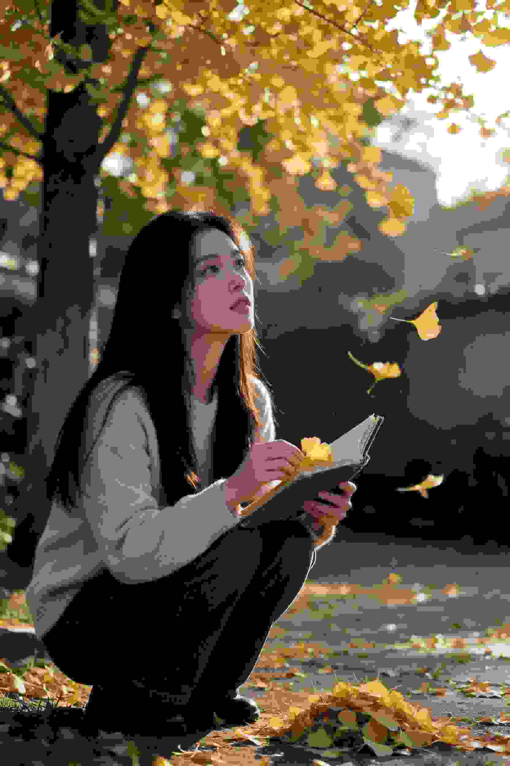 月姬 -A piece of blue glass moon-